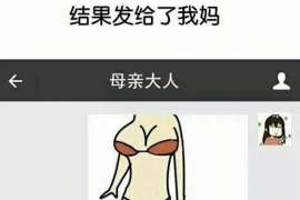 威宁调查案例